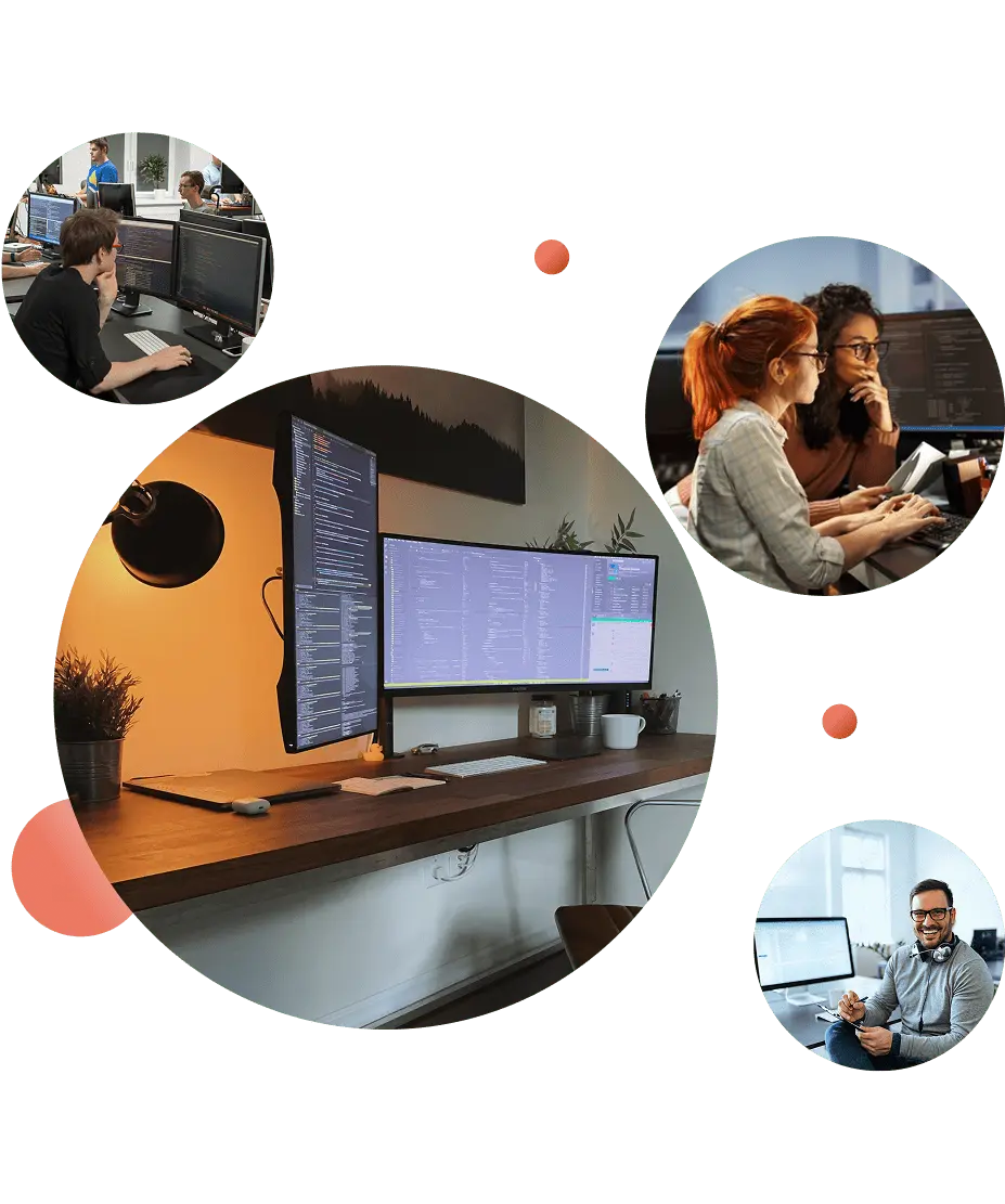 .NET Development Services