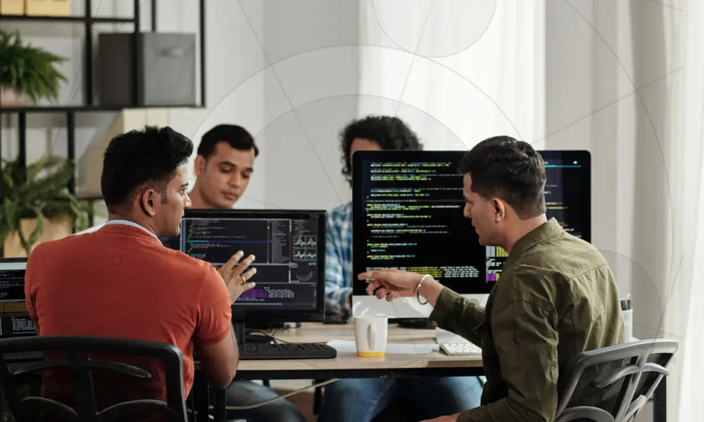 Digisoft software development team