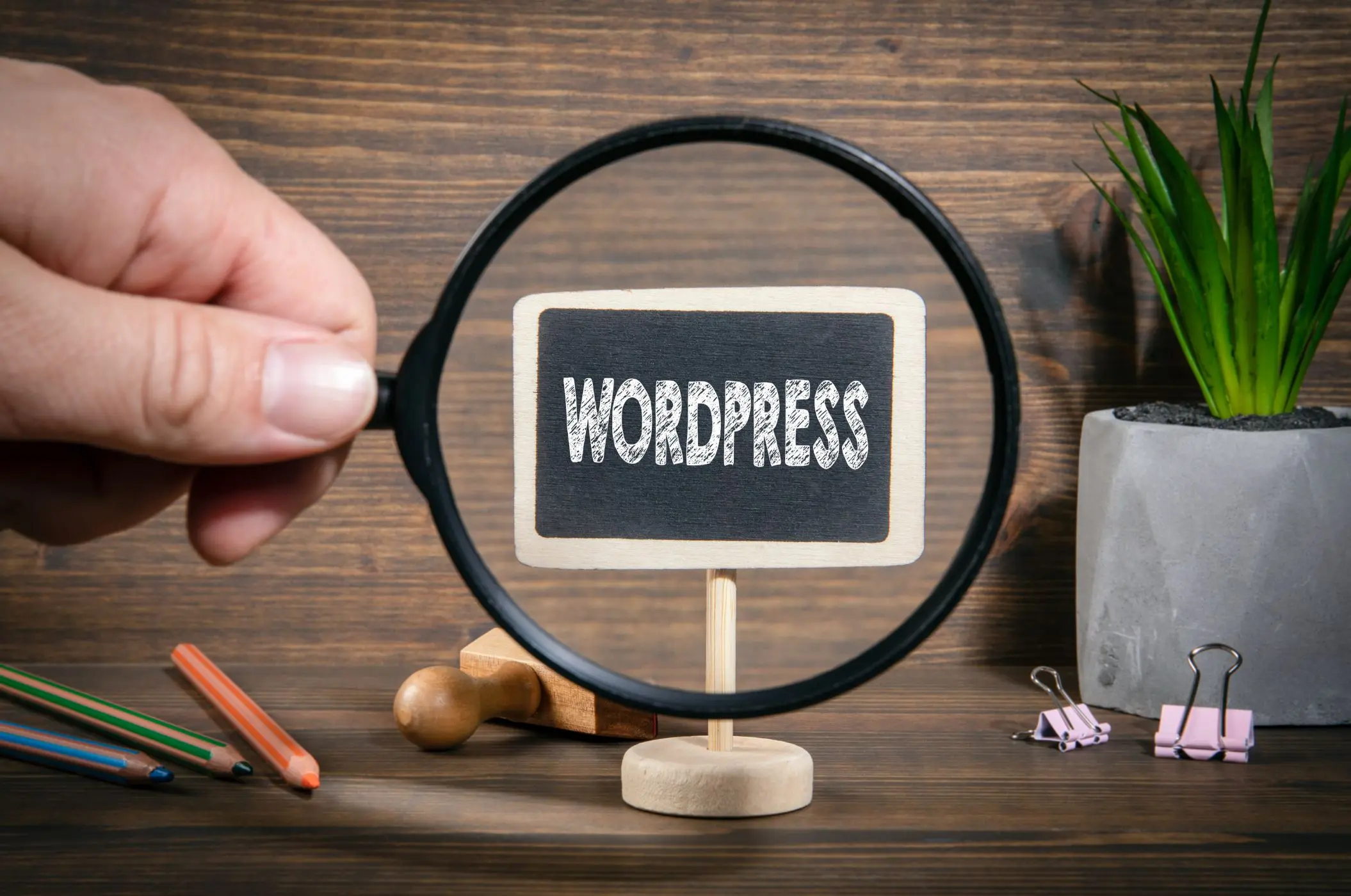 /images/Blog/top-10-wordpress-plugins-every-developer-should-know.webp